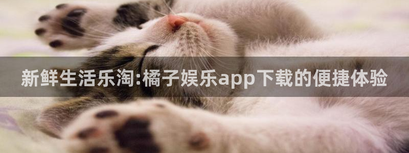 三牛娱乐
