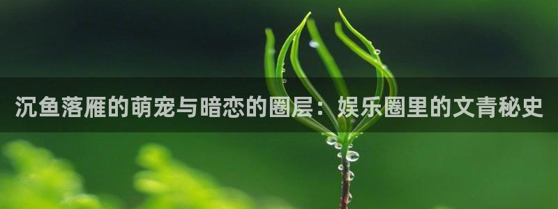 三牛娱乐