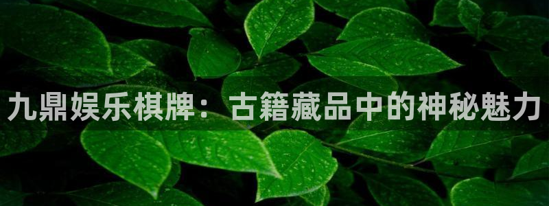 三牛娱乐